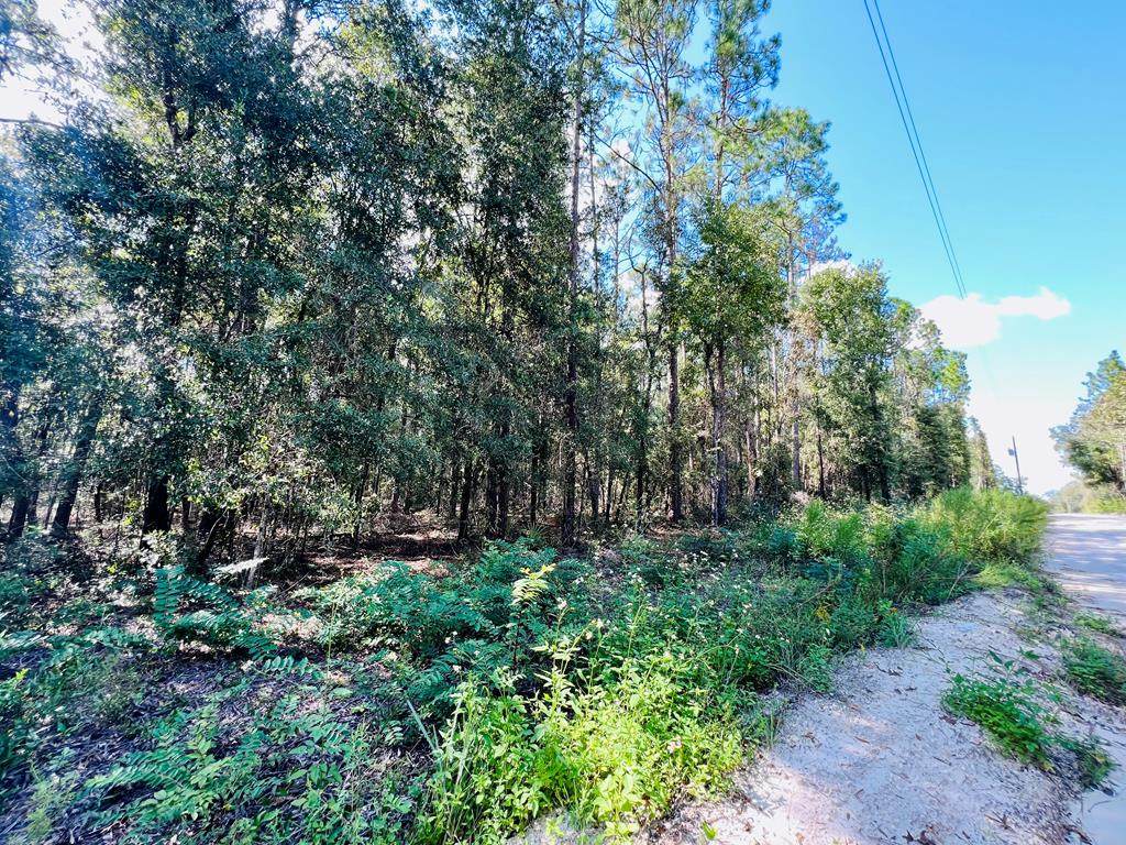 Lot 23 30th Ave - Photo 1