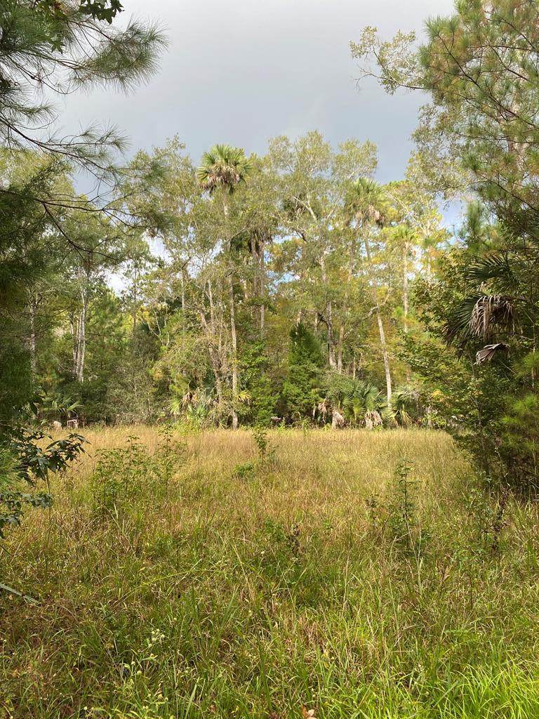 185 717th Ln - Photo 1