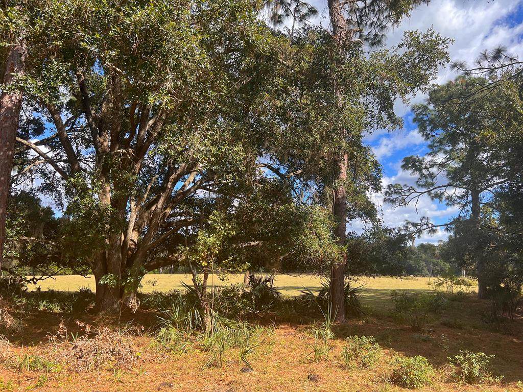 Lot 11 County Road 345 - Photo 1