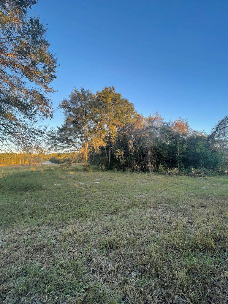 TBD 137th Ln - Photo 1
