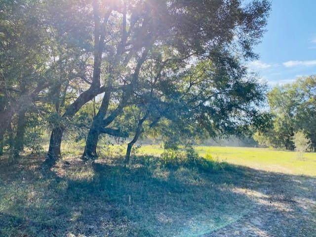 83rd Ter - Photo 1