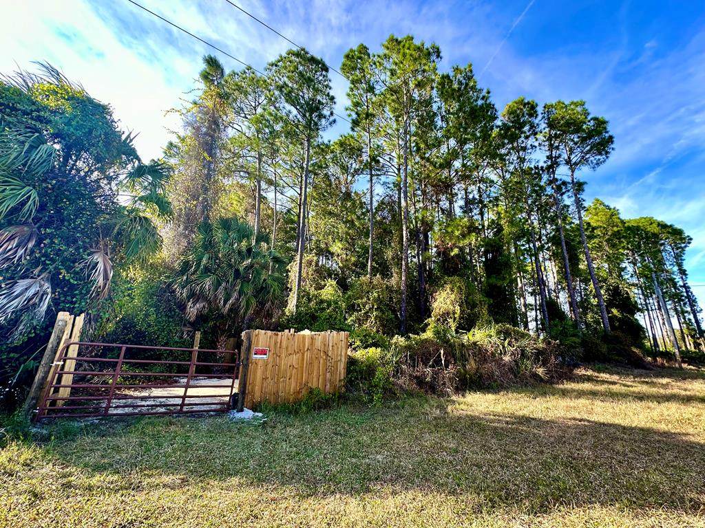 Lot 3 County Road 347 - Photo 1
