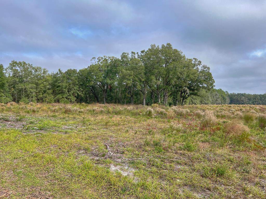 00 County Road 341 - Photo 1