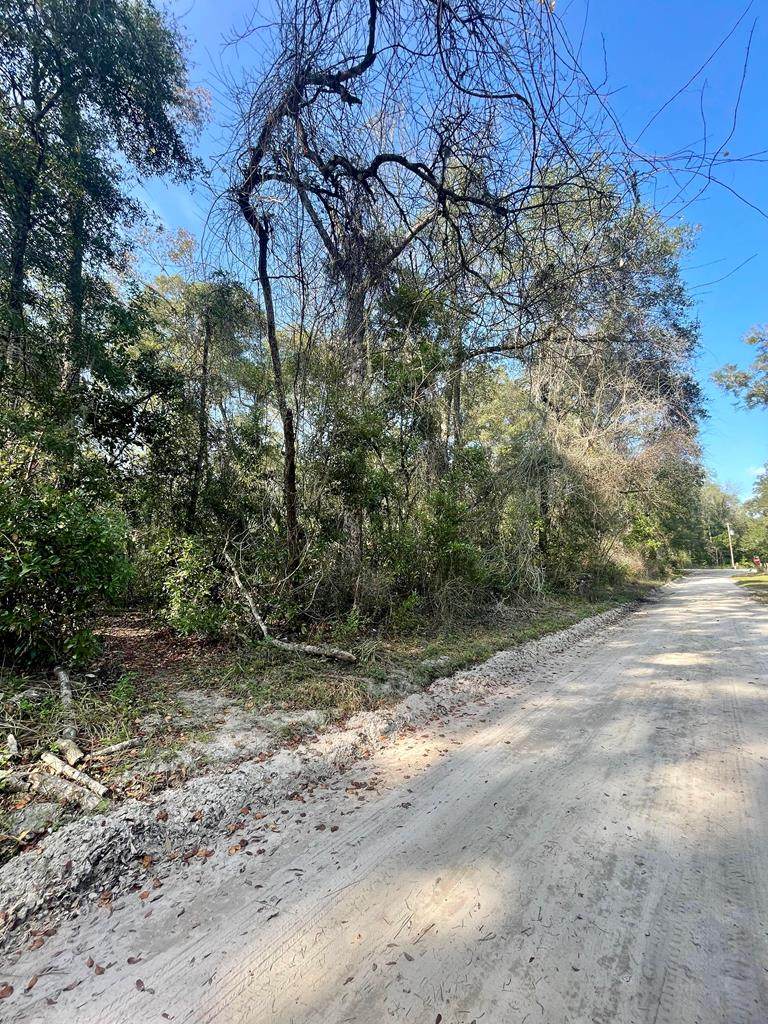 TBD 81st Ave - Photo 1