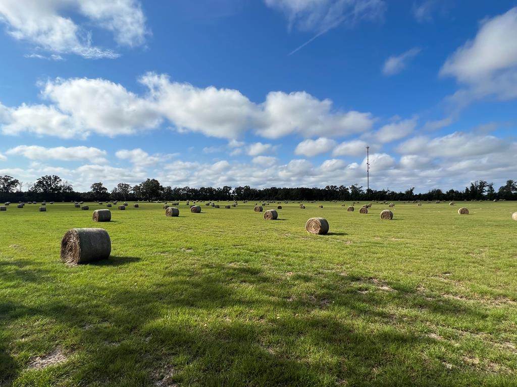 County Road 347 - Photo 1