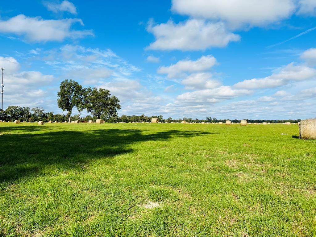 County Road 347 - Photo 1