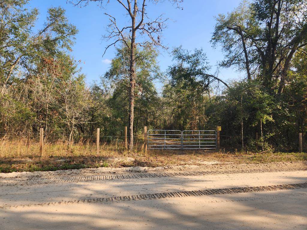 1653 Daisy Rd - Photo 1