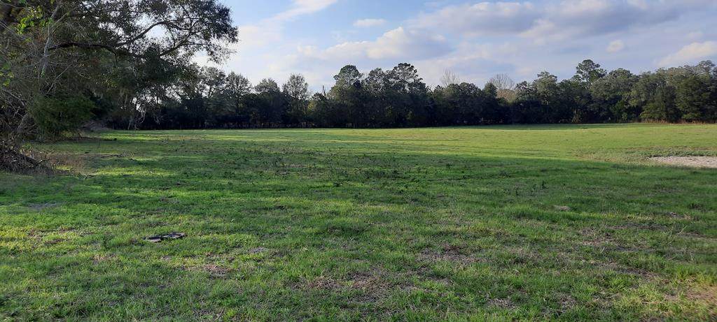 232/344 County Road 344 - Photo 1
