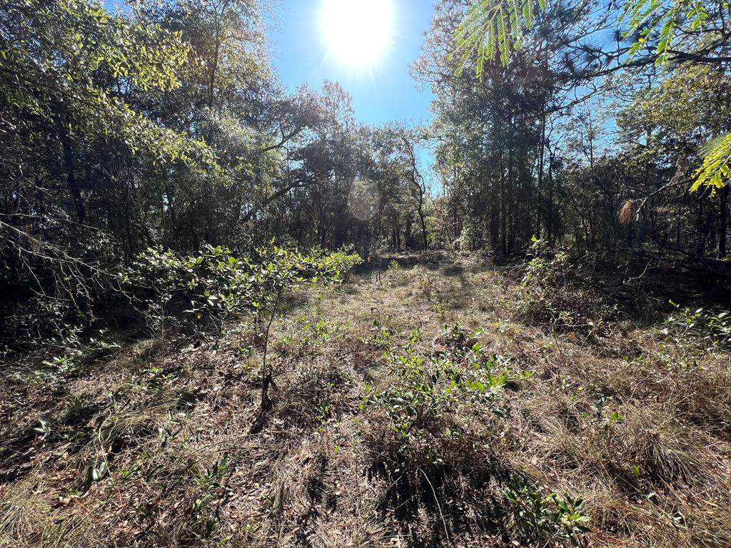 LOT 4 12th Ave - Photo 1