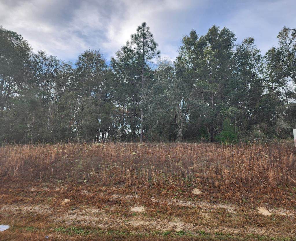 Hwy 27A - Photo 1