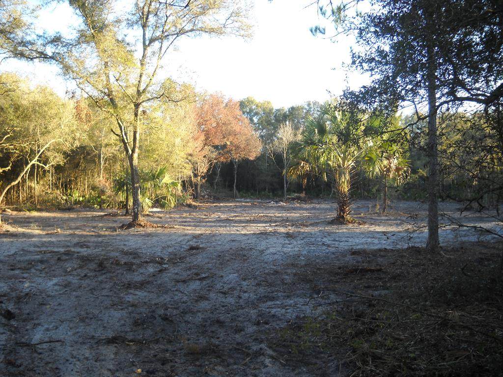 125 465th Ave - Photo 1