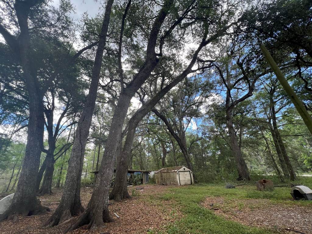 325 281st Ave NE, Old Town, FL 32680 (MLS 786327) Hatcher Realty