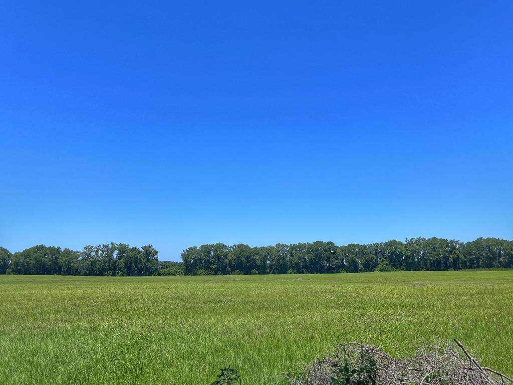 00 County Road 313 SW, Trenton, FL 32693 (MLS 786648) Hatcher