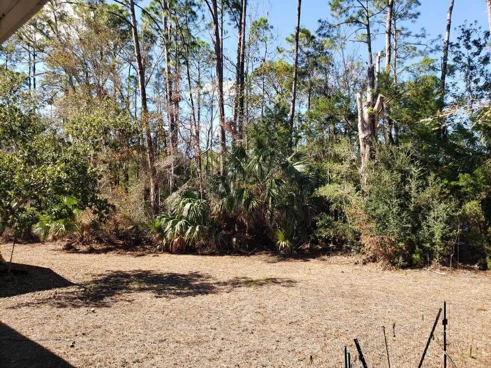 0 Central Ave NE, Steinhatchee, FL 32359 (MLS 789755) Hatcher