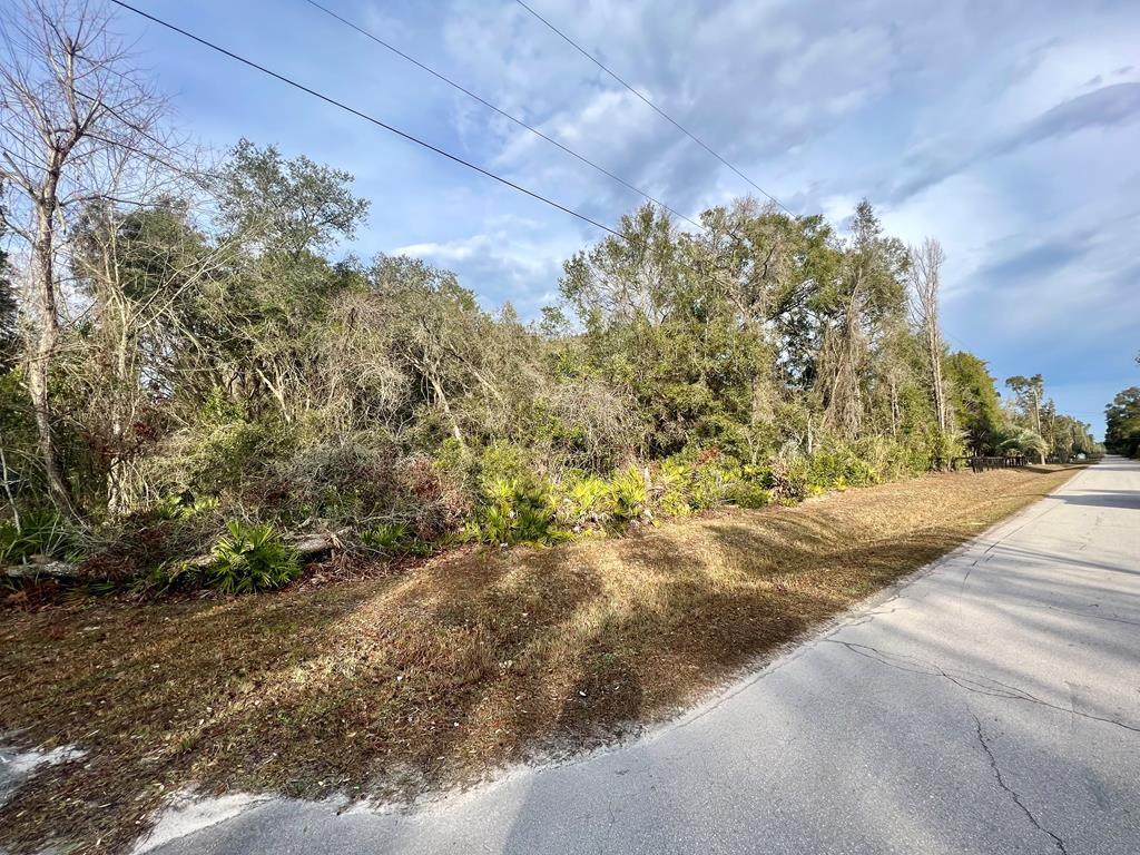 0 790th St NE, Old Town, FL 32680 (MLS 789829) Hatcher Realty