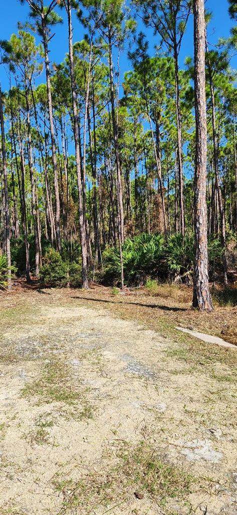 LOT 9 104th St - Photo 1