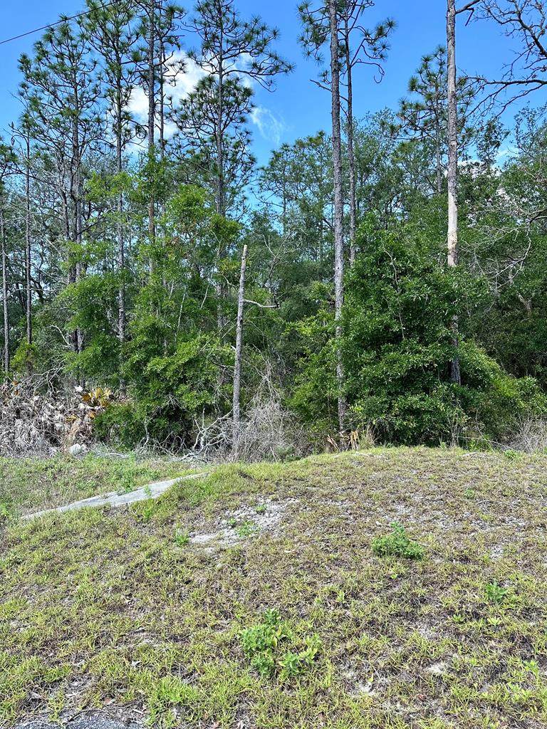 00 Willstone Way NE, Steinhatchee, FL 32359 (MLS 790698) Hatcher