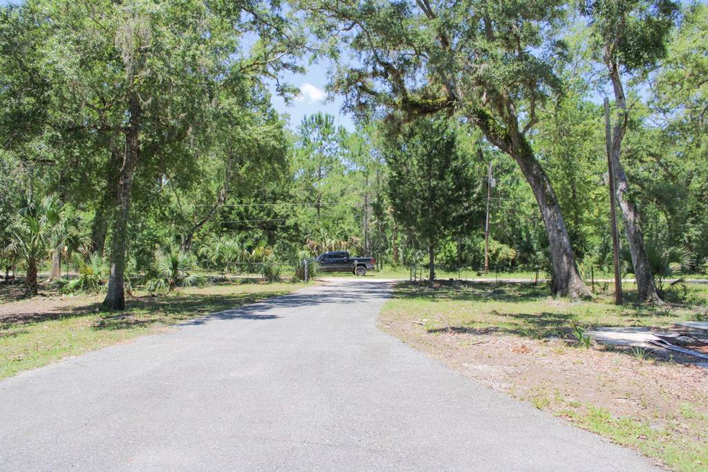 2002 NE River Rd, Steinhatchee, FL 32359 (MLS 790824) Hatcher