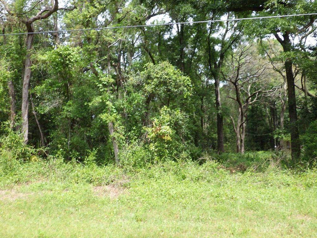 LOT 87 168th Ln - Photo 1