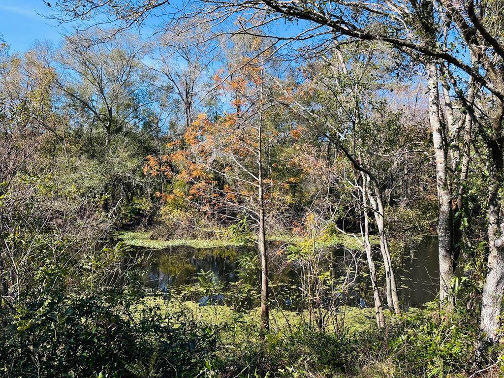 2180 Hwy 317 - Photo 1