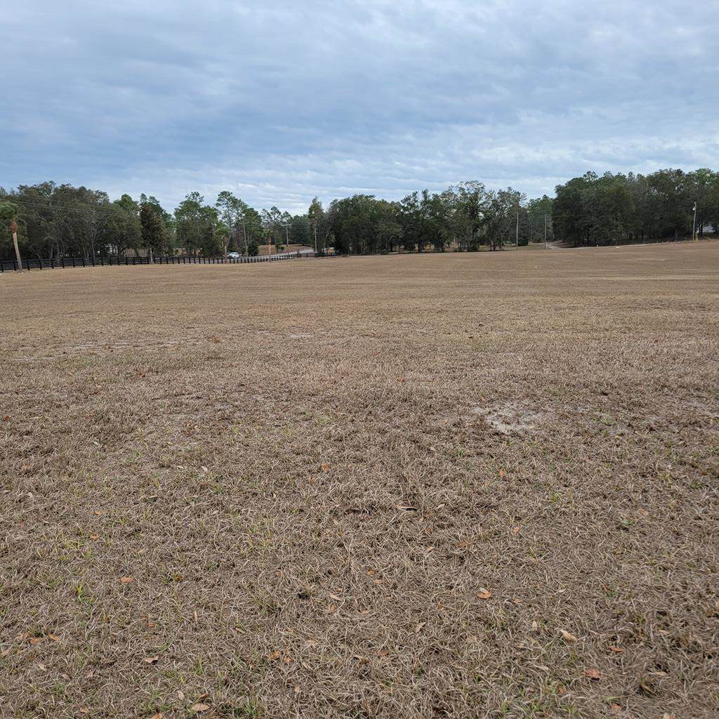 3954 31st Ave - Photo 1