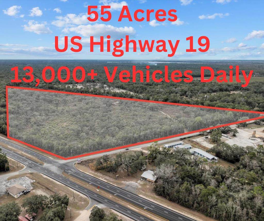 TBD Us Hwy 19 - Photo 1