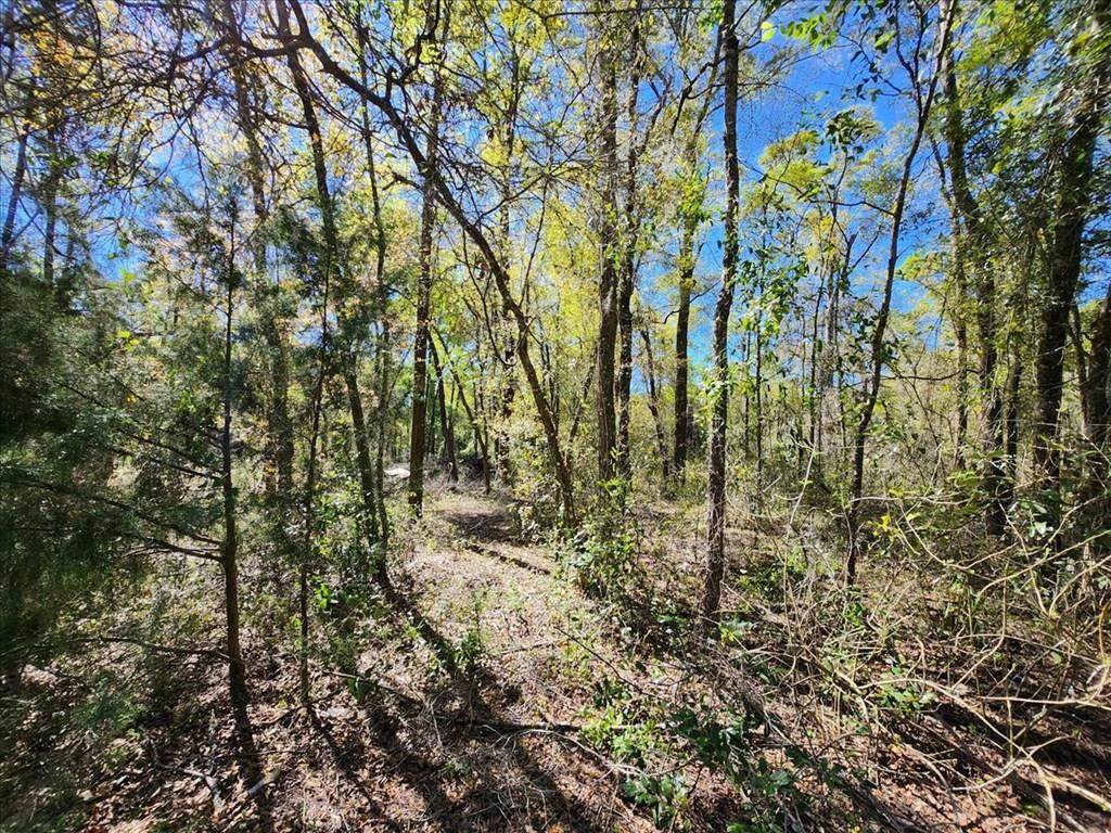 00 Pine Dr - Photo 1