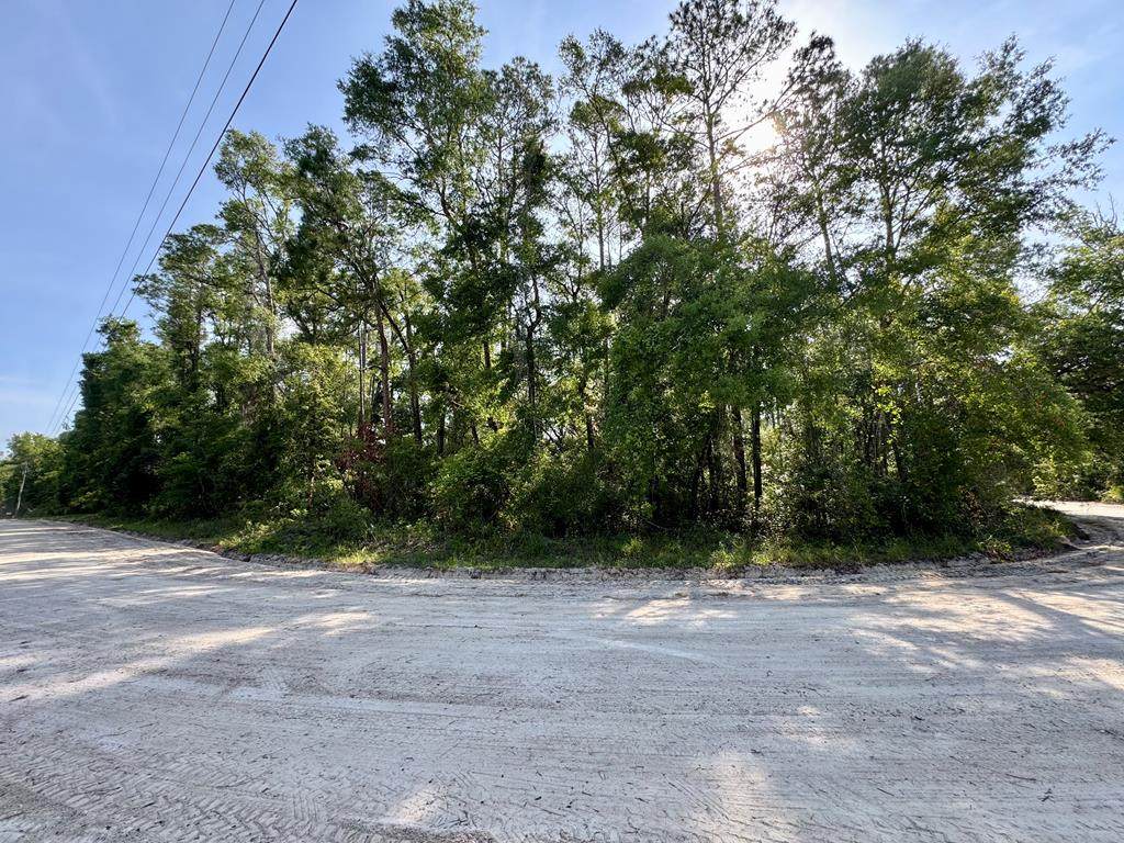 LOT 58 170th St - Photo 1