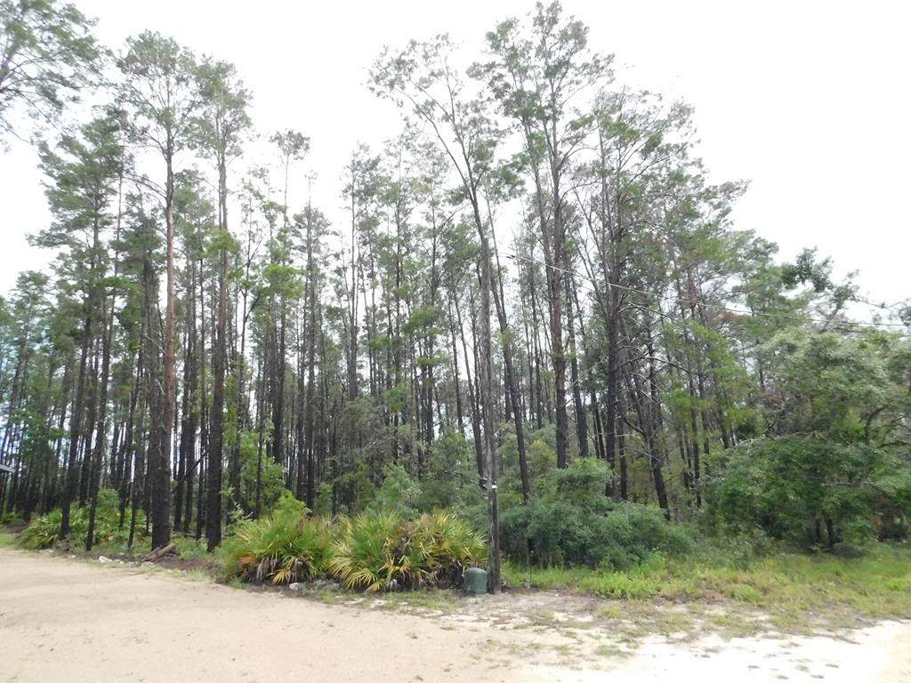  Oak Pond Ln - Photo 1