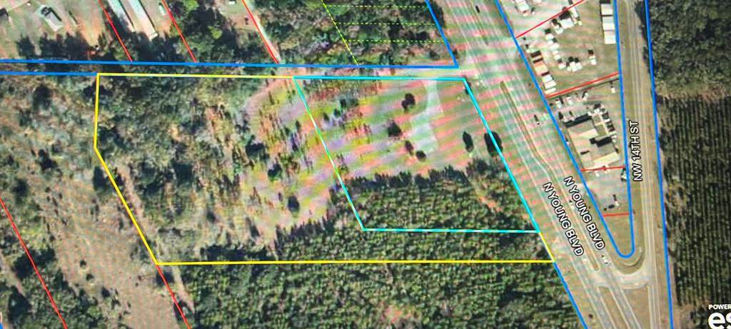 12250 Us Hwy 19 - Photo 1