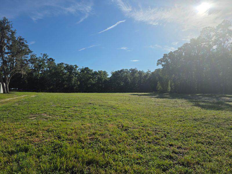 TBD Hwy 19 - Photo 1