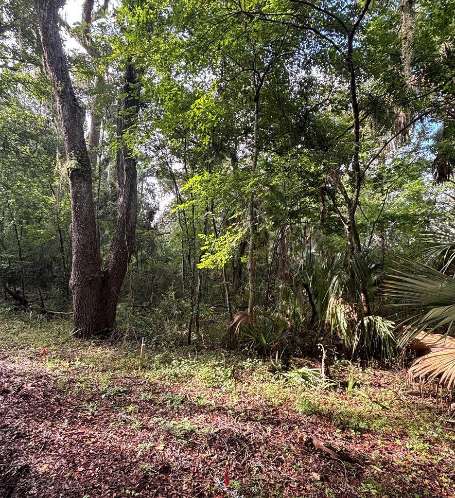 0 83rd Ave - Photo 1