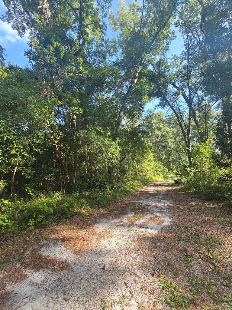 TBD 204th Ave - Photo 1