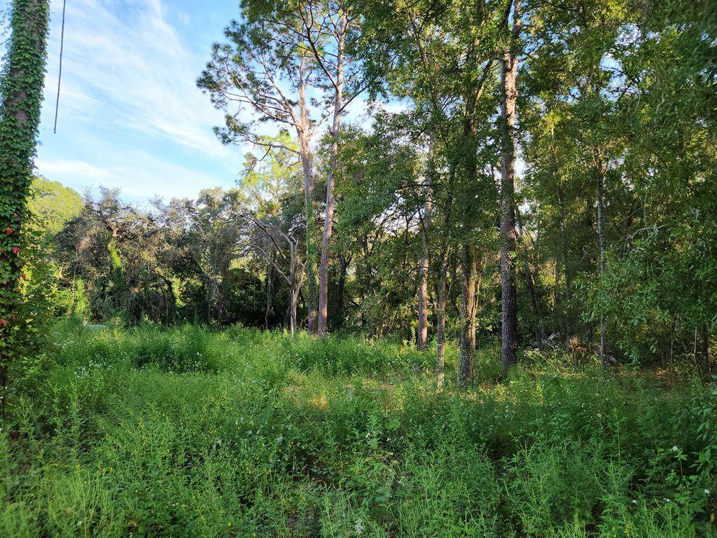 16870 80th Ave - Photo 1