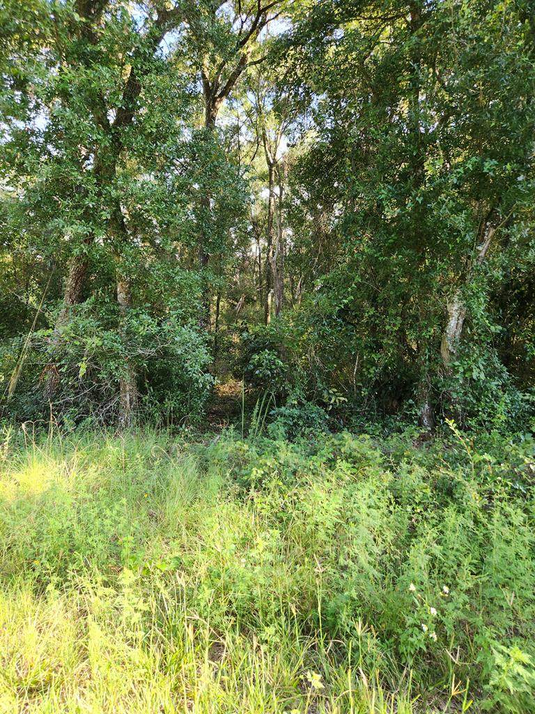 TBD 168th Ln - Photo 1