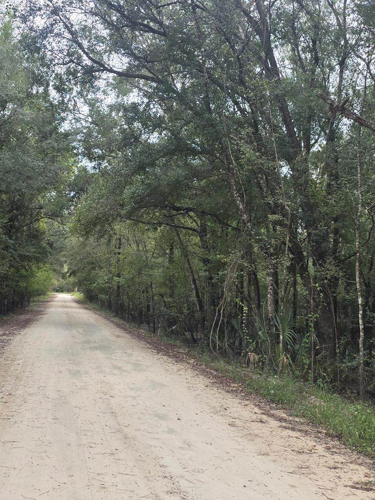 3190 70th Way - Photo 1