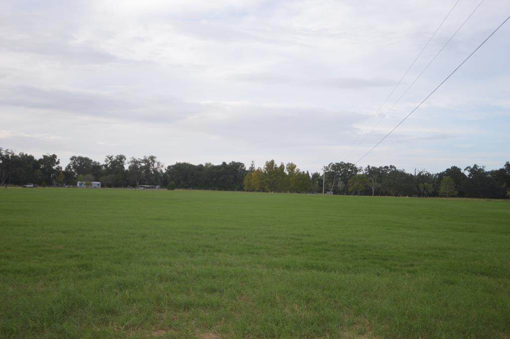 5640 SW County Road 344 - Photo 1