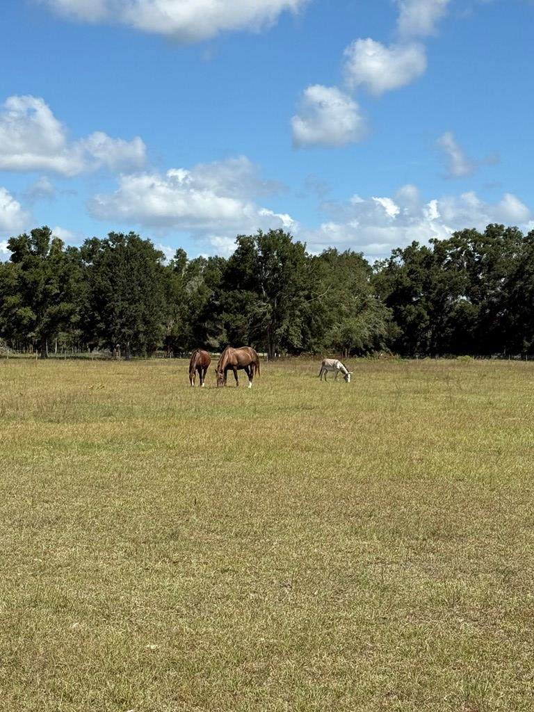 15330 County Road 349 - Photo 1