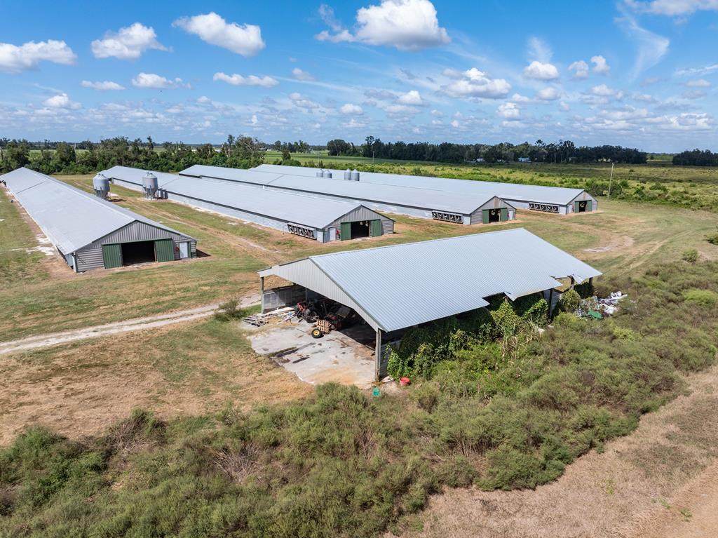 1083 County Road 351 - Photo 1