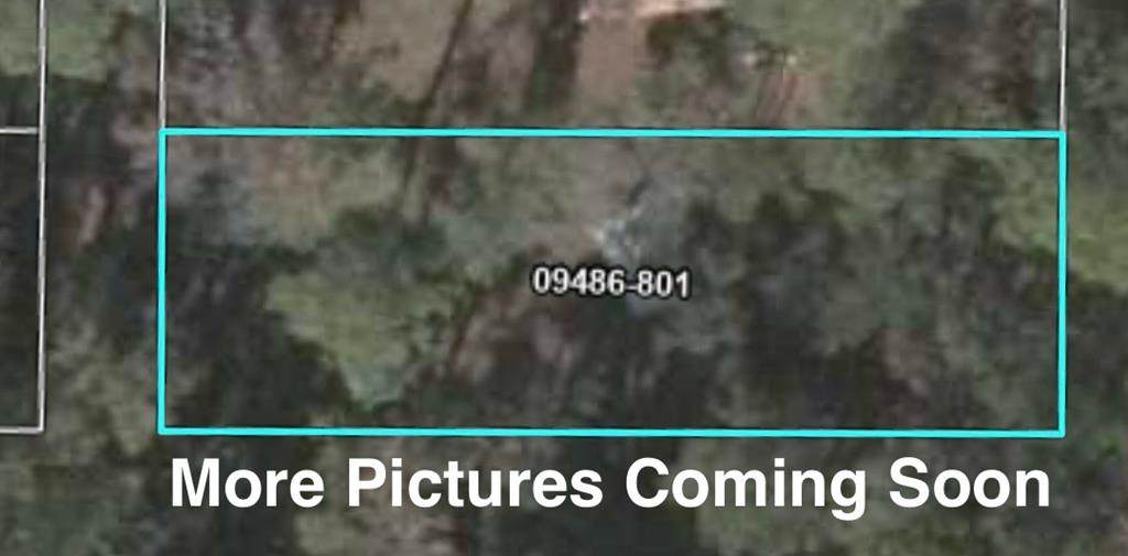  Fourth Ave - Photo 1