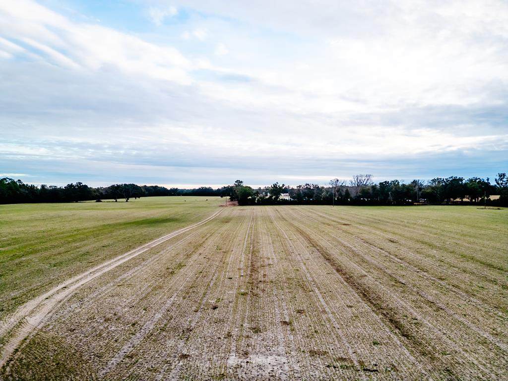 Lot 1 Country Hall Road - Photo 1