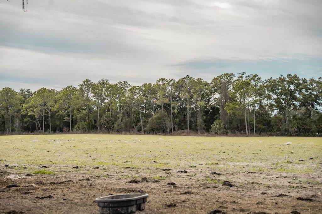 Lot 4 Country Hall Road - Photo 1