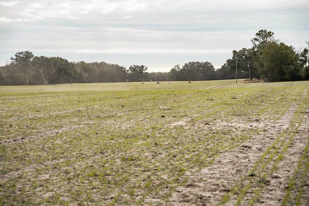 Lot 6 Country Hall Road - Photo 1