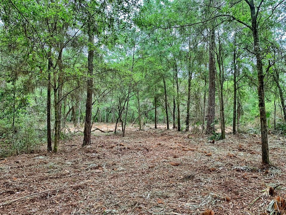 Cr 232 - Photo 1