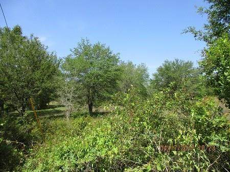 Lot 4 465 Avenue - Photo 1