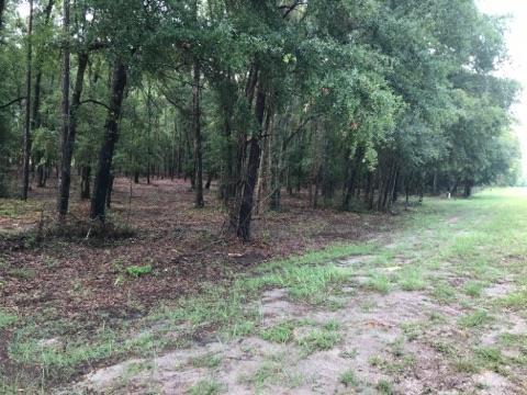 Cr 340 - Photo 1