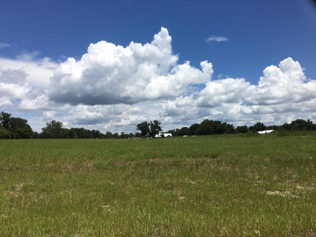 LOT 26 28 Circle - Photo 1