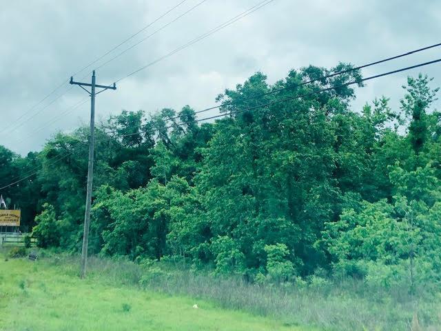 Hwy 19 - Photo 1