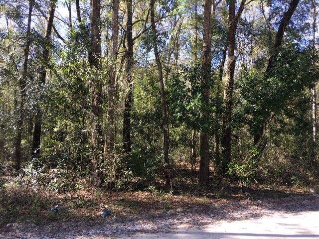 Lot 54 36th Lane - Photo 1