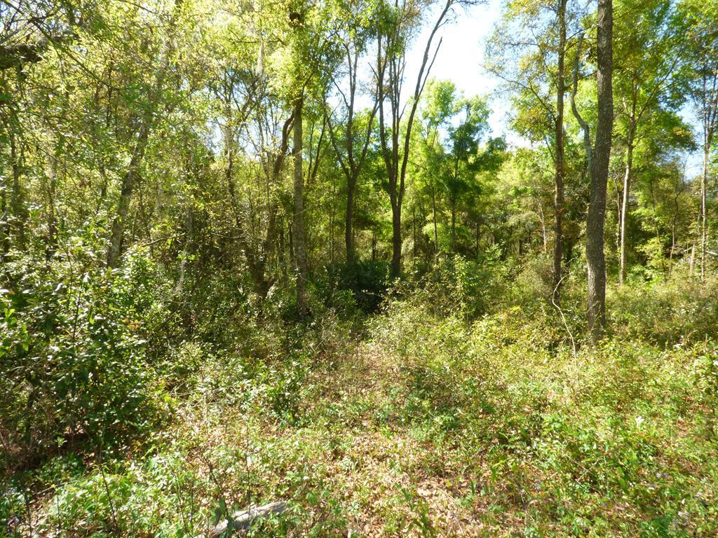 Lot 47 170 Street - Photo 1